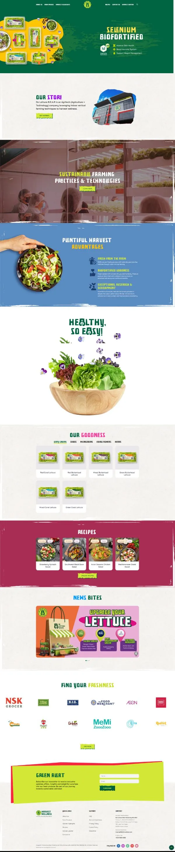De Lettuce Bear